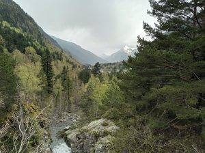 Els alumnes de 2n han passat la tarda fent un estudi del Noguera de Tor al seu pas per Barruera. Durant l’activitat, han mesurat el cabal del riu i han analitzat diversos indicadors per valorar-ne l’estat de salut, com ara la transparència de l’aigua, la presència d’insectes aquàtics i la temperatura. Avui al matí hem fet una caminada pel Parc Nacional d’Aigüestortes amb l’objectiu de reflexionar sobre si seria possible la presència de l’ós bru en aquest entorn natural. Seguint aquesta premissa, hem recorregut un camí que ens ha portat fins a l’estany Llebreta. Tot i que la pluja ens ha acompanyat durant part del trajecte, l’experiència ha estat molt enriquidora. Hem gaudit del paisatge i hem après més sobre la fauna del parc i la formació d'aquestes muntanyes.