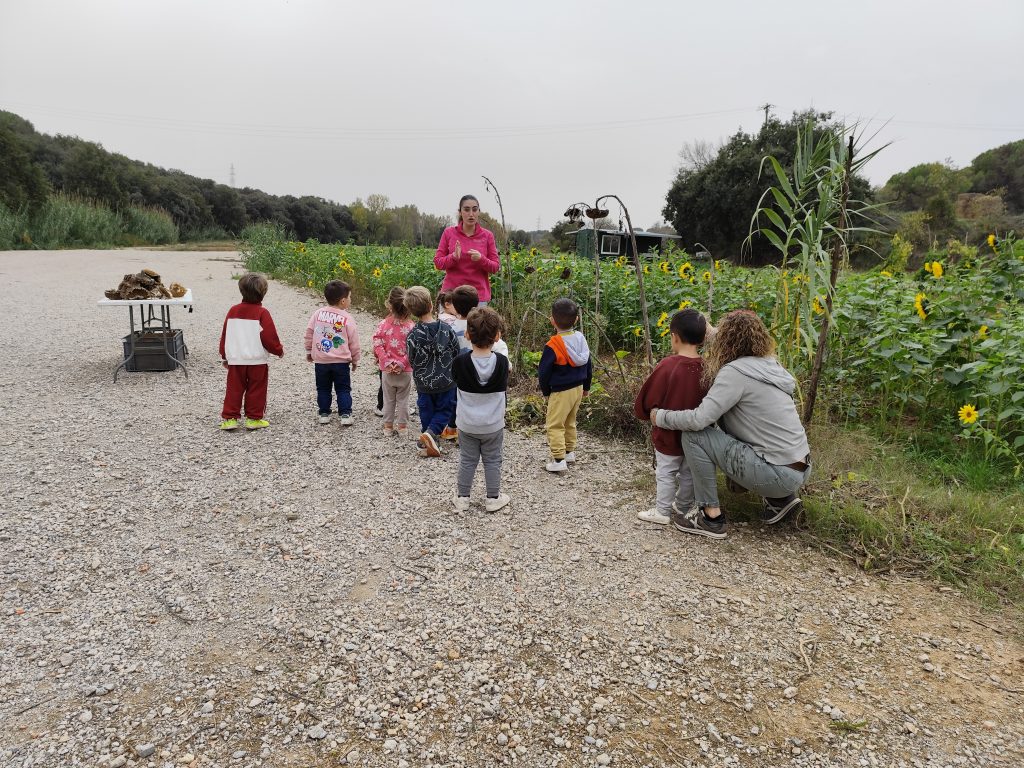 Divendres passat els nens i les nenes del segon cicle d’Infantil vam anar d’excursió a l’aula rural Mas Fabrera (L’Ametlla del Vallès). Vàrem gaudir d’un dia a la natura descobrint la tardor: vam tastar, tocar i olorar fruits d’aquesta estació (magranes, caquis, pipes de gira-sol i figues) i també vàrem elaborar la nostra pròpia melmelada de carabassa. 
Finalment, passejant pels voltants vam conèixer els arbres i les plantes de temporada. Vam passar un gran dia en un entorn molt bonic! 