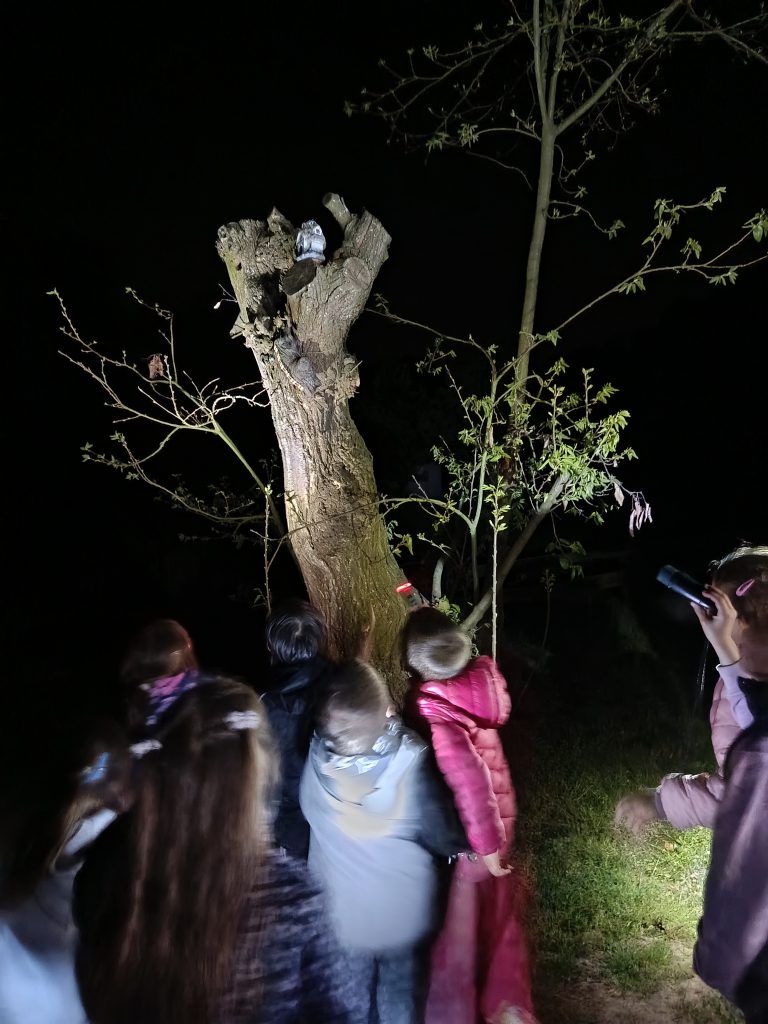 Els nens i nenes d’I4 i I5 hem anat de colònies a Can Montcau, una granja-escola ubicada a La Roca del Vallès. Durant l’estada, hem pogut veure diversos animals de granja com gallines, pollets, conills, cabretes, ovelles o cavalls, entre d’altres. No només els hem pogut observar, sinó que també els hem pogut tocar, donar de menjar i interactuar amb ells, mostrant curiositat i respecte. A més, hem realitzat una activitat molt especial: l’elaboració de la nostra pròpia mona de Pasqua, que després ens hem emportat a casa. 
El segon dia, els infants d’I3 es van afegir a la sortida per fer la visita a la granja. Van poder gaudir també del contacte amb els animals i de l’entorn, compartint una estona molt especial amb els companys/es més grans. Ha estat una gran oportunitat per reforçar vincles i compartir moments únics fora de l’aula, afavorit el joc lliure, la convivència i la descoberta.
