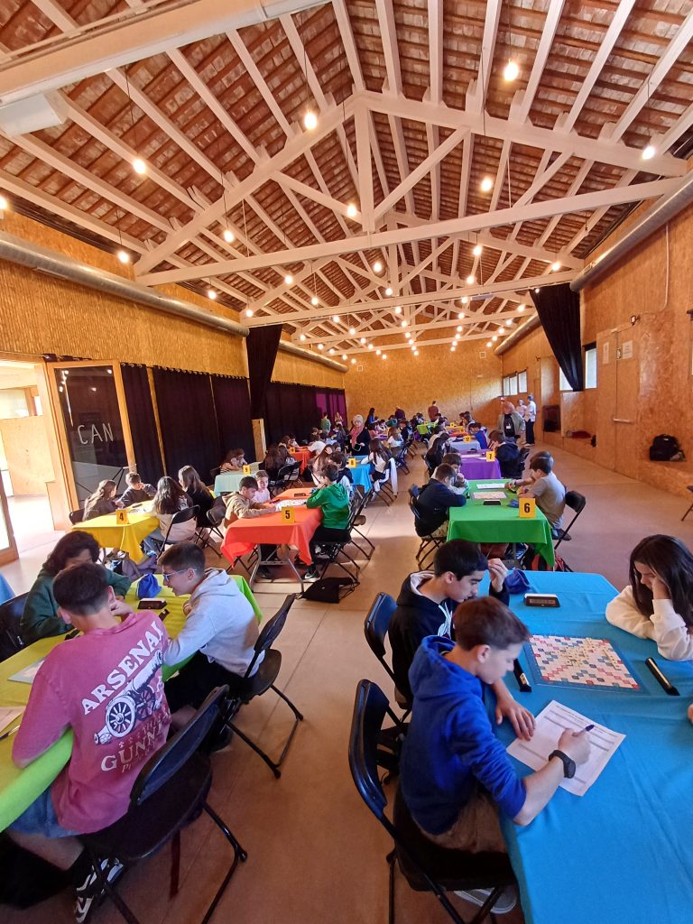 El propassat 17 d'abril, dotze alumnes del nostre 1r d'ESO competiren amb altres centres educatius del poble en el campionat de Catamots (Scrabble) de La Garriga. Dues parelles es classificaren per a la gran final del Països catalans que es fa a les Cotxeres de Sants a Barcelona.